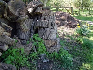 Gardening Tips from Inkd Home Improvement